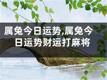 属兔今日运势,属兔今日运势财运打麻将