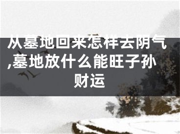 从墓地回来怎样去阴气,墓地放什么能旺子孙财运