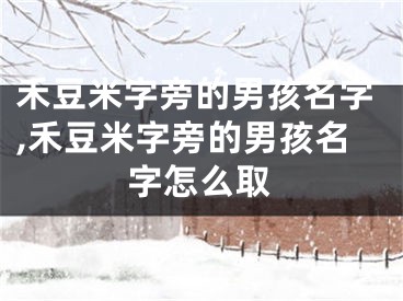 禾豆米字旁的男孩名字,禾豆米字旁的男孩名字怎么取