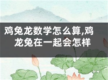 鸡兔龙数学怎么算,鸡龙兔在一起会怎样