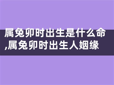 属兔卯时出生是什么命,属兔卯时出生人姻缘