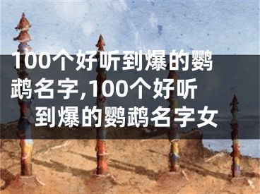 100个好听到爆的鹦鹉名字,100个好听到爆的鹦鹉名字女