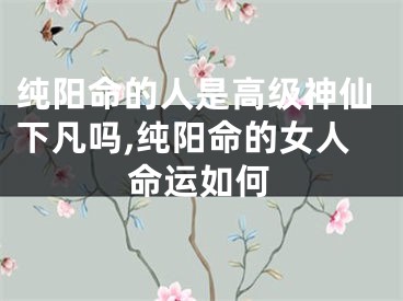 纯阳命的人是高级神仙下凡吗,纯阳命的女人命运如何