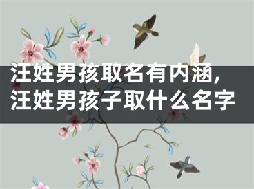 汪姓男孩取名有内涵,汪姓男孩子取什么名字