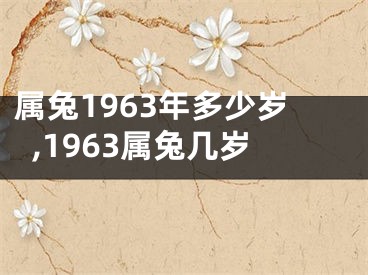 属兔1963年多少岁,1963属兔几岁