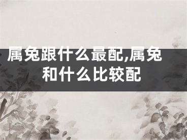 属兔跟什么最配,属兔和什么比较配