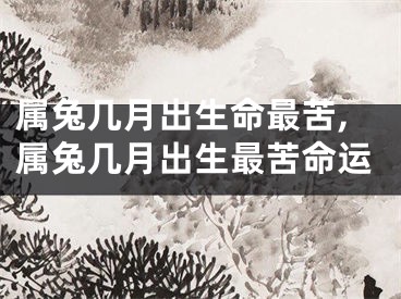 属兔几月出生命最苦,属兔几月出生最苦命运