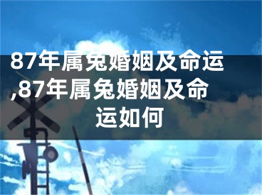 87年属兔婚姻及命运,87年属兔婚姻及命运如何