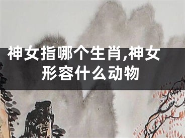 神女指哪个生肖,神女形容什么动物