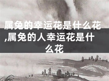 属兔的幸运花是什么花,属兔的人幸运花是什么花