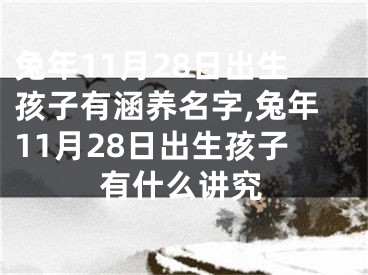 兔年11月28日出生孩子有涵养名字,兔年11月28日出生孩子有什么讲究