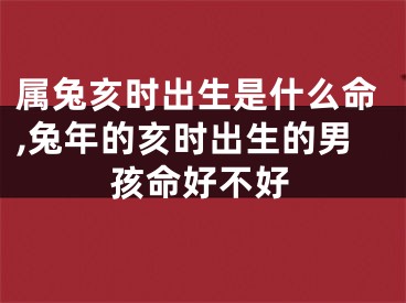 属兔亥时出生是什么命,兔年的亥时出生的男孩命好不好