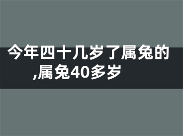 今年四十几岁了属兔的,属兔40多岁