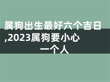 属狗出生最好六个吉日,2023属狗要小心一个人