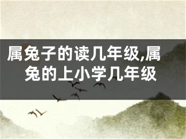 属兔子的读几年级,属兔的上小学几年级