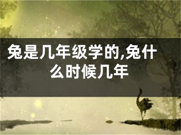 兔是几年级学的,兔什么时候几年