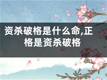 资杀破格是什么命,正格是资杀破格