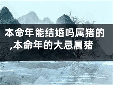 本命年能结婚吗属猪的,本命年的大忌属猪