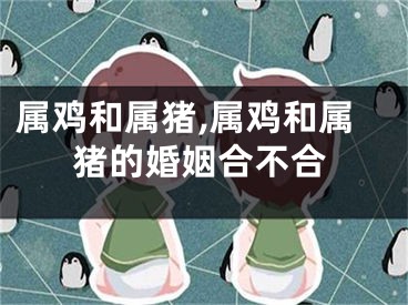 属鸡和属猪,属鸡和属猪的婚姻合不合