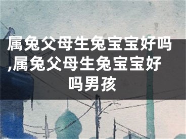 属兔父母生兔宝宝好吗,属兔父母生兔宝宝好吗男孩