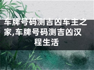 车牌号码测吉凶车主之家,车牌号码测吉凶汉程生活