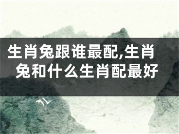 生肖兔跟谁最配,生肖兔和什么生肖配最好