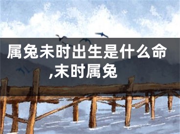 属兔未时出生是什么命,末时属兔