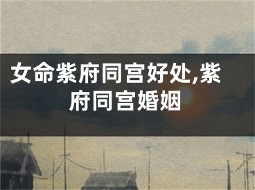 女命紫府同宫好处,紫府同宫婚姻