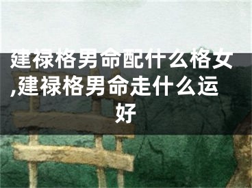 建禄格男命配什么格女,建禄格男命走什么运好