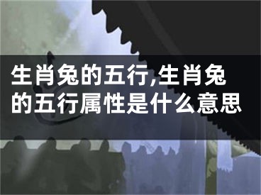 生肖兔的五行,生肖兔的五行属性是什么意思