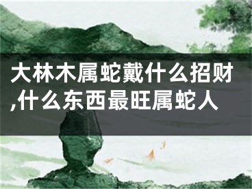 大林木属蛇戴什么招财,什么东西最旺属蛇人