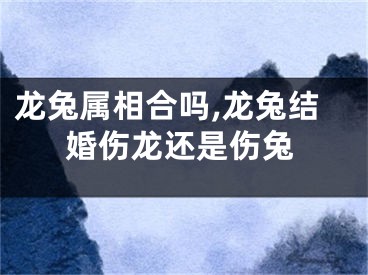 龙兔属相合吗,龙兔结婚伤龙还是伤兔