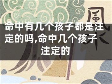 命中有几个孩子都是注定的吗,命中几个孩子注定的
