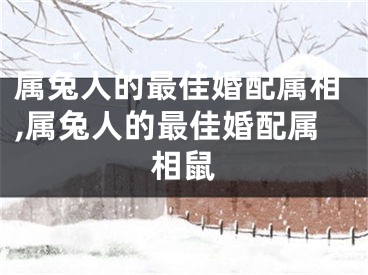 属兔人的最佳婚配属相,属兔人的最佳婚配属相鼠