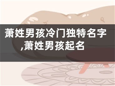 萧姓男孩冷门独特名字,萧姓男孩起名