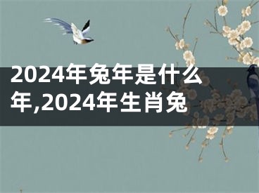 2024年兔年是什么年,2024年生肖兔