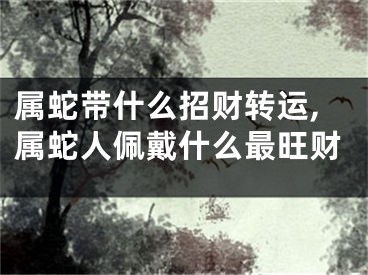 属蛇带什么招财转运,属蛇人佩戴什么最旺财