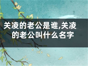 关凌的老公是谁,关凌的老公叫什么名字