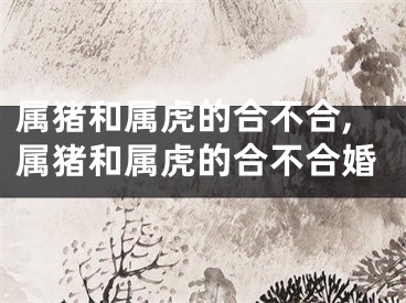 属猪和属虎的合不合,属猪和属虎的合不合婚