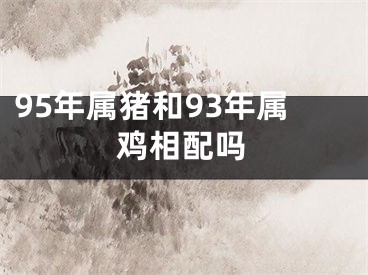 95年属猪和93年属鸡相配吗