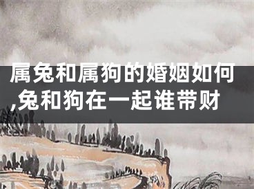 属兔和属狗的婚姻如何,兔和狗在一起谁带财