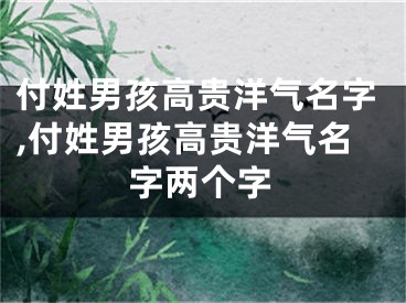 付姓男孩高贵洋气名字,付姓男孩高贵洋气名字两个字