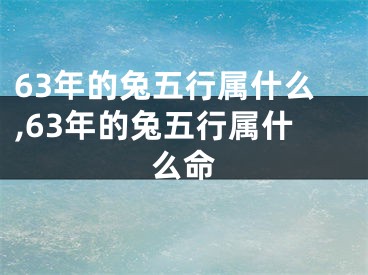 63年的兔五行属什么,63年的兔五行属什么命