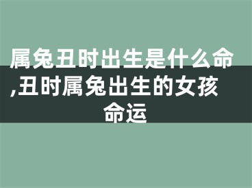 属兔丑时出生是什么命,丑时属兔出生的女孩命运