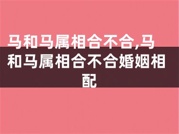 马和马属相合不合,马和马属相合不合婚姻相配
