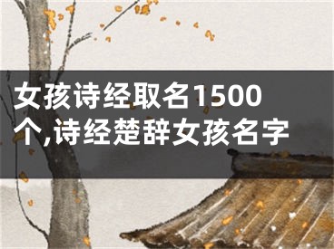 女孩诗经取名1500个,诗经楚辞女孩名字