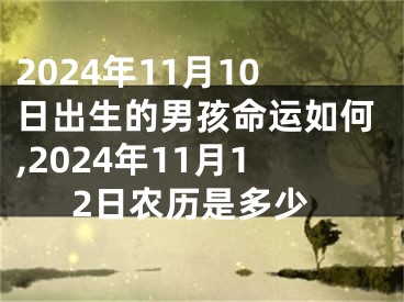 2024年11月10日出生的男孩命运如何,2024年11月12日农历是多少