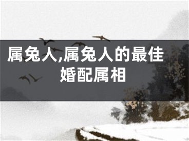 属兔人,属兔人的最佳婚配属相