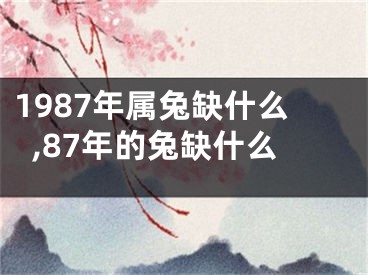 1987年属兔缺什么,87年的兔缺什么