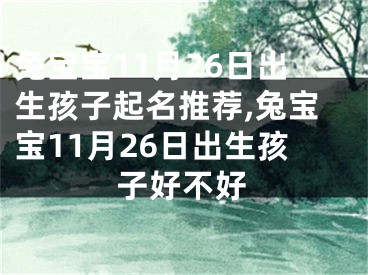 兔宝宝11月26日出生孩子起名推荐,兔宝宝11月26日出生孩子好不好